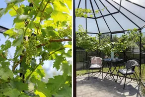 Children-friendly beautiful holiday home with BBQ, jacuzzi & sauna - Image 2