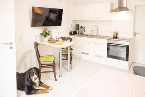 Holiday apartment | Good for workation | Pets are welcome - Image 4
