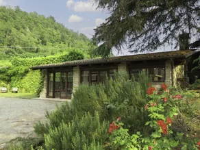 Fully equipped wonderful holiday home with private pool, terrace & BBQ | Dogs allowed - Image 3
