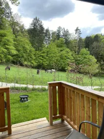 Fantastica casa accogliente e familiare con barbecue, giardino e terrazza | Vista sul giardino | Sono ammessi animali domestici - Image 4