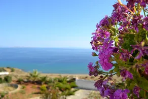Child-friendly lovely holiday home with terrace, barbeque & garden | Garden view | Next to the beach | Pets allowed - Image 4