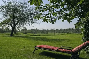 House with terrace & garden - Image 3