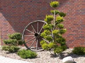 Friesenhof Meyer - Image 4