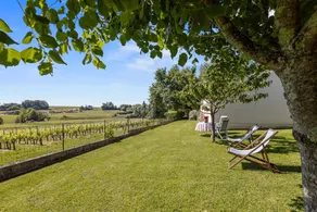 Chic and Peaceful Retreat Among the Vineyards – With Air Conditioning - Image 3