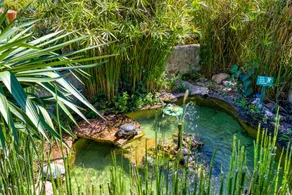 Apartment mit Terrasse, Garten und Grill | Gartenblick - Image 4