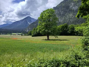 Flat with terrace | Mountain view - Image 5