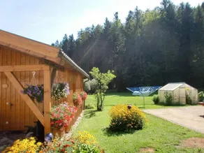 Ferienhaus In Röhrnbach Mit Grill Und Terrasse - Image 2