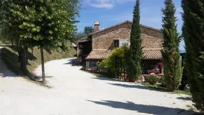 Agriturismo Il Corbezzolo: Camera gialla - Image 3