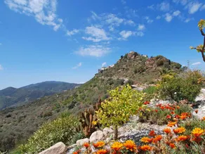 House with BBQ, private pool & garden | Mountain view | Good for workation | Pets allowed - Image 5