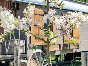 Apartamento vacacional con terraza, barbacoa y jardín | Vistas a la naturaleza - Image 3