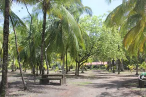 Las Olas Hostel - Image 2