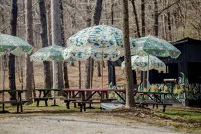 The Wilderness Glam Cabin in Tracy City, TN - Image 5