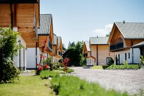 Spacious, luxurious chalets with a sauna and 2 bedrooms for 4 persons - Image 5