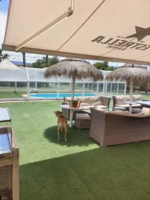 Beautiful villa with garden, pool & barbeque | Garden view | Perfect for remote work | Dogs allowed - Image 4