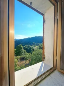 Family-oriented nice house with garden & barbeque | Garden view | Pets are welcome - Image 5