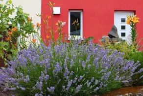 Holiday home with barbeque, garden & terrace - Image 2
