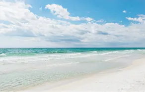 Gulf Place 413 - Image 4