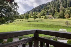 Room 'Camera Tripla N 2' with Mountain View, Shared Garden and Wi-Fi - Image 5