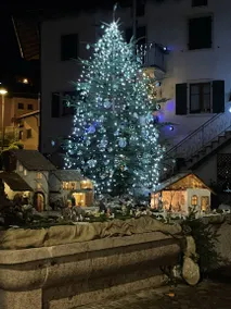 Incantevole appartamento accogliente e familiare con terrazza e giardino | Vista sul giardino - Image 2