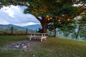Peaceful Tiny House in the Mountains near Seneca Rocks, West Virginia - Image 4