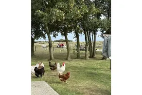 Pleasant holiday home with terrace & garden | Perfect for remote work | Pet-friendly - Image 2