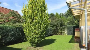 Child-friendly holiday home with barbecue, terrace & garden - Image 4