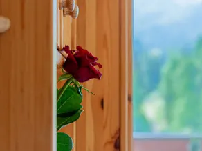 Children-friendly beautiful holiday apartment with sauna | Close to the ski - Image 4