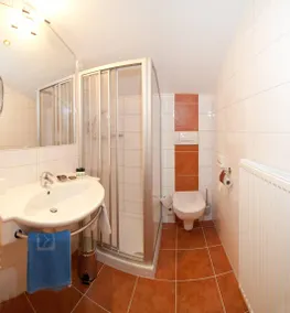 Family-oriented aparthotel with sauna, garden & terrace | Next to the ski | Pet-friendly - Image 4