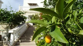 Apartment with BBQ, terrace & garden | Sea view - Image 2
