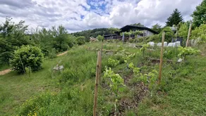 Holiday apartment with garden, sauna & BBQ - Image 2