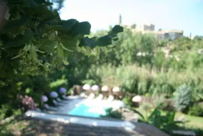 Fully equipped villa with garden, terrace & private pool | Pool view - Image 5