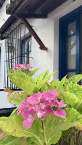 Holiday apartment with garden | Nature view - Image 3