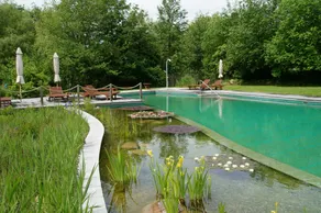 Eco-friendly holiday home near the Baltic Sea - Image 2