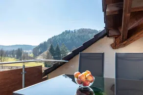 Apartment 'Baumkrone' with Shared Garden, Balcony and Wi-Fi - Image 2