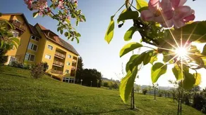Child-friendly pleasant flat with sauna, pool & barbeque - Image 2