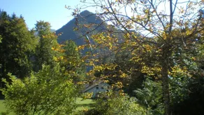 Family-friendly apartment with BBQ, terrace & garden - Image 4