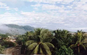 Los Tucanes De Rurre - Image 4