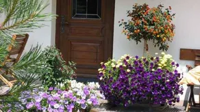 Flat with 1 bedroom for 4 persons - Image 5