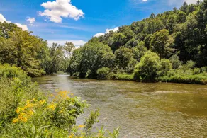 House with garden, fast internet & BBQ | River view - Image 3