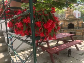 Guneyli Pansiyon - Image 4