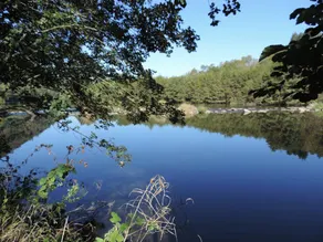Gite with barbeque, garden & sauna | Lake view - Image 3