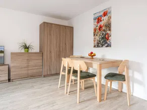 Apartment with garden, terrace & barbeque - Image 3