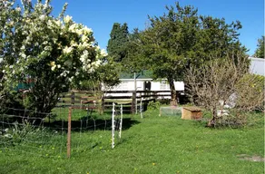 Charming Family-Friendly Cottage on an Organic Farm near Kaikoura, New Zealand - Image 5