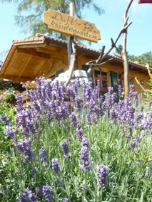 Appartamento con terrazza, sauna e barbecue - Image 4