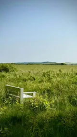 Children-friendly lovely holiday home with garden, terrace & barbeque | Dogs allowed - Image 4