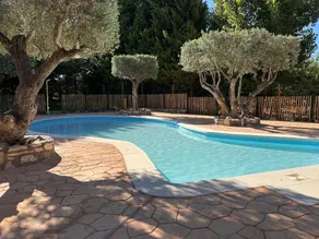 Bungalow with terrace & pool - Image 2
