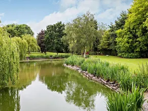 Landhaus mit Garten | Wasserblick | Hunde erlaubt - Image 2