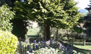 Gîte Les Sapins Douglas: Mountain View Holiday Home with Balcony and Wi-Fi - Image 2