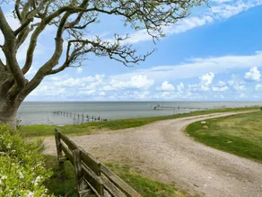 "Andine" - 250m from the sea - Image 4