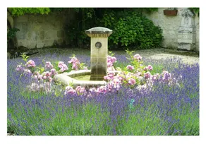 Holiday Home 'La Chapelle Aux Roses' with Private Pool, Private Terrace and Wi-Fi - Image 3